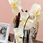 Отель Galeria Valeria Seaside Downtown - Mag Quaint & Elegant Boutique