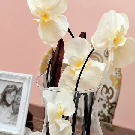 Hotell Galeria Valeria Seaside Downtown - Mag Quaint & Elegant Boutique