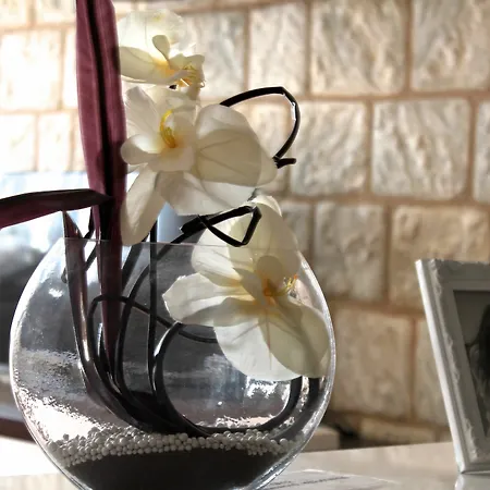 호텔 Galeria Valeria Seaside Downtown - Mag Quaint & Elegant Boutique 4*